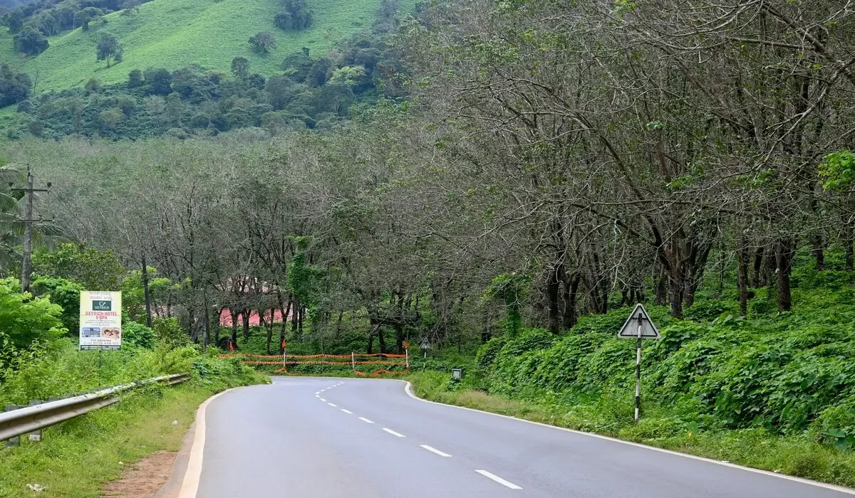Lush green coffee plantations and misty hills of Coorg Karnataka in April